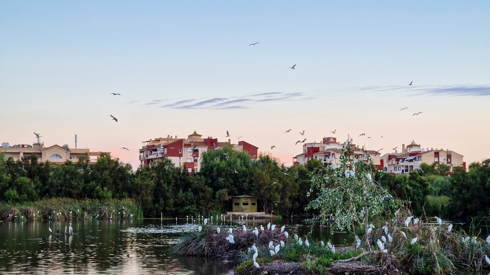 El ayuntamiento de Motril abre el plazo de licitación para las obras de la Charca de Suárez, la casa de la Juventud y Formación y Empleo.